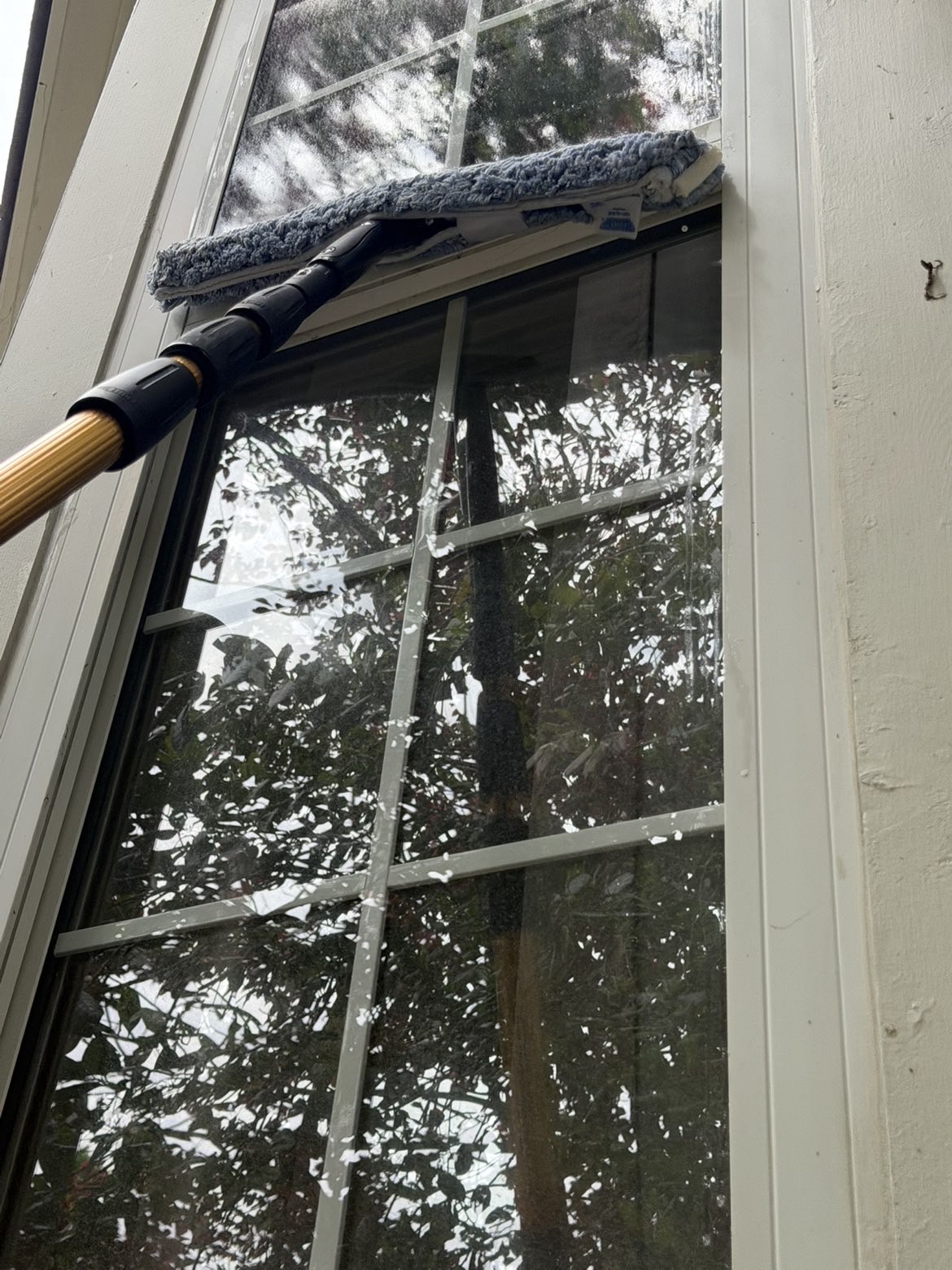 Blue Line Co. window cleaning close-up