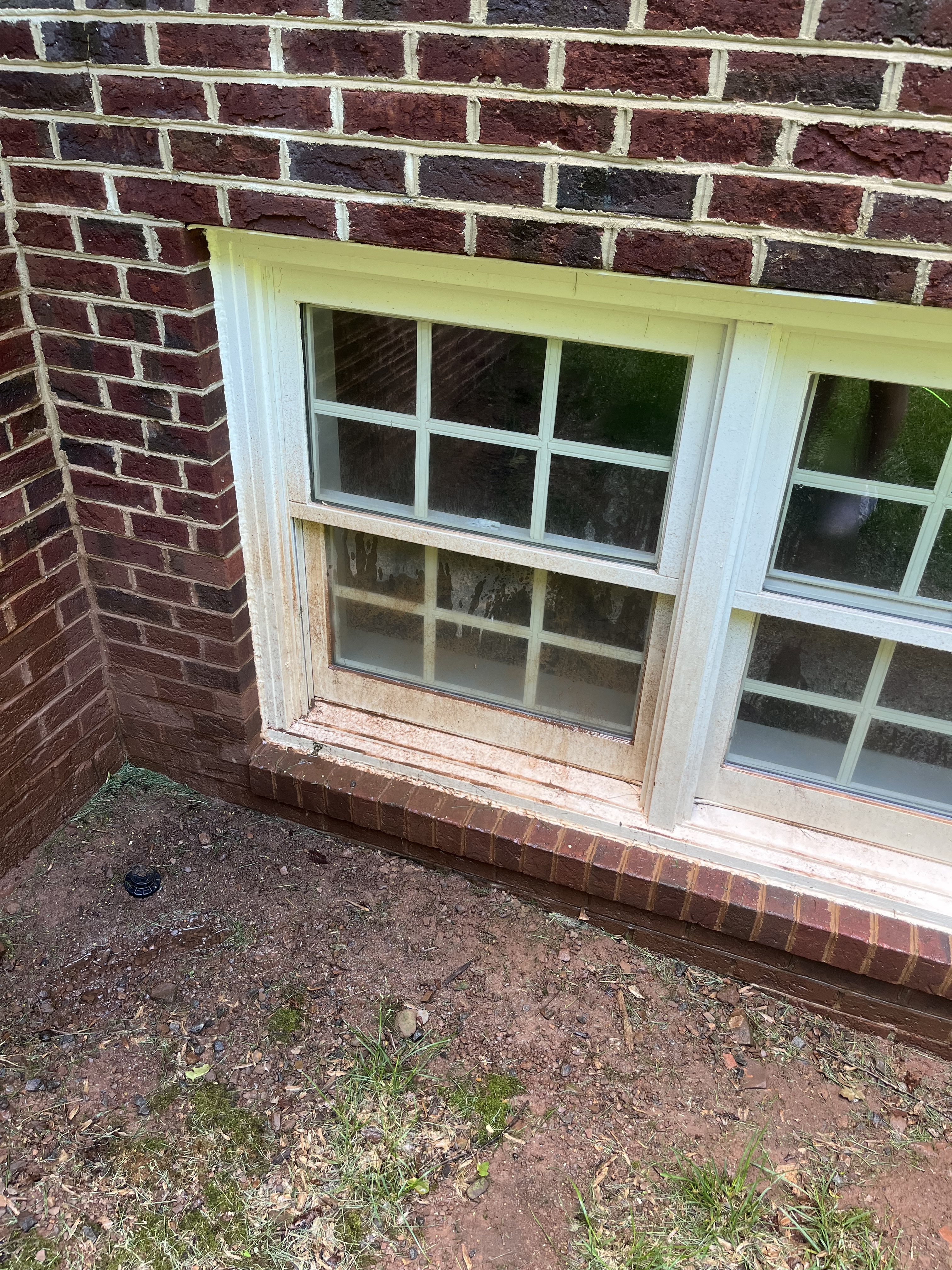 Blue Line Co. exterior window cleaning results